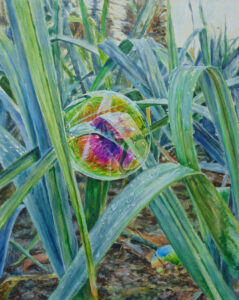 "Spektralfarben im Reifeprozess "Spektralfarben im Reifeprozess "Spektralfarben im Reifeprozess I", Acryl auf Leinwand, 80x50cm", Acryl auf Leinwand, 80x50cm", Acryl auf Leinwand, 100x80cm